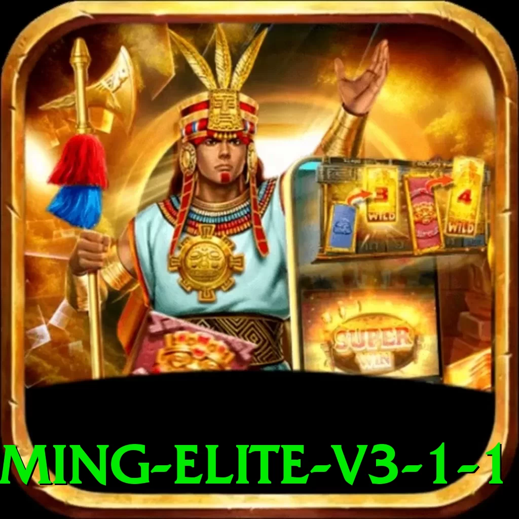 ganha9 Gaming Elite v3.1.1 - pk